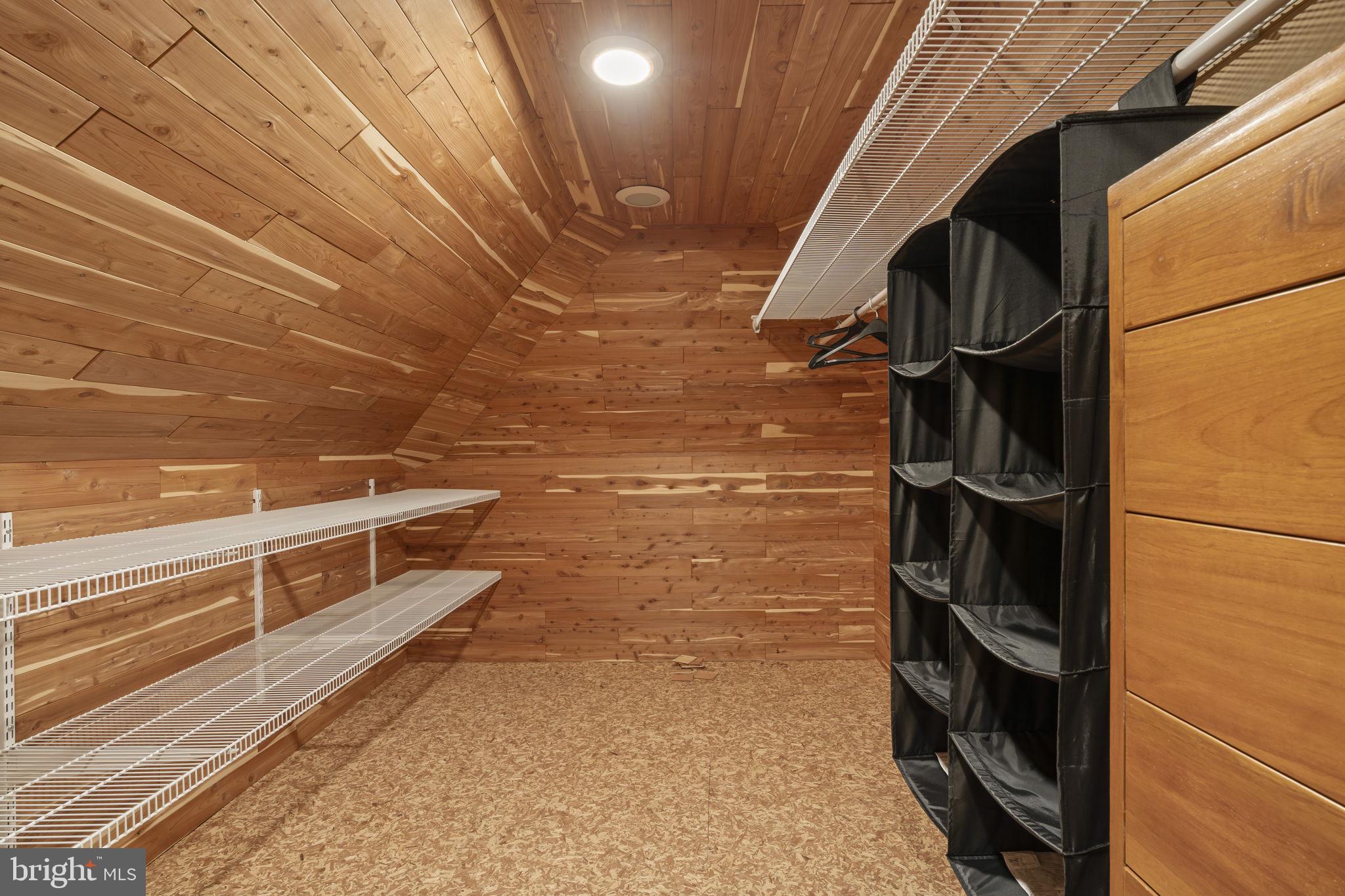 841 Mt Moro Road Villanova, PA 19085 - Photo 50 of 62 Cedar Closet 1