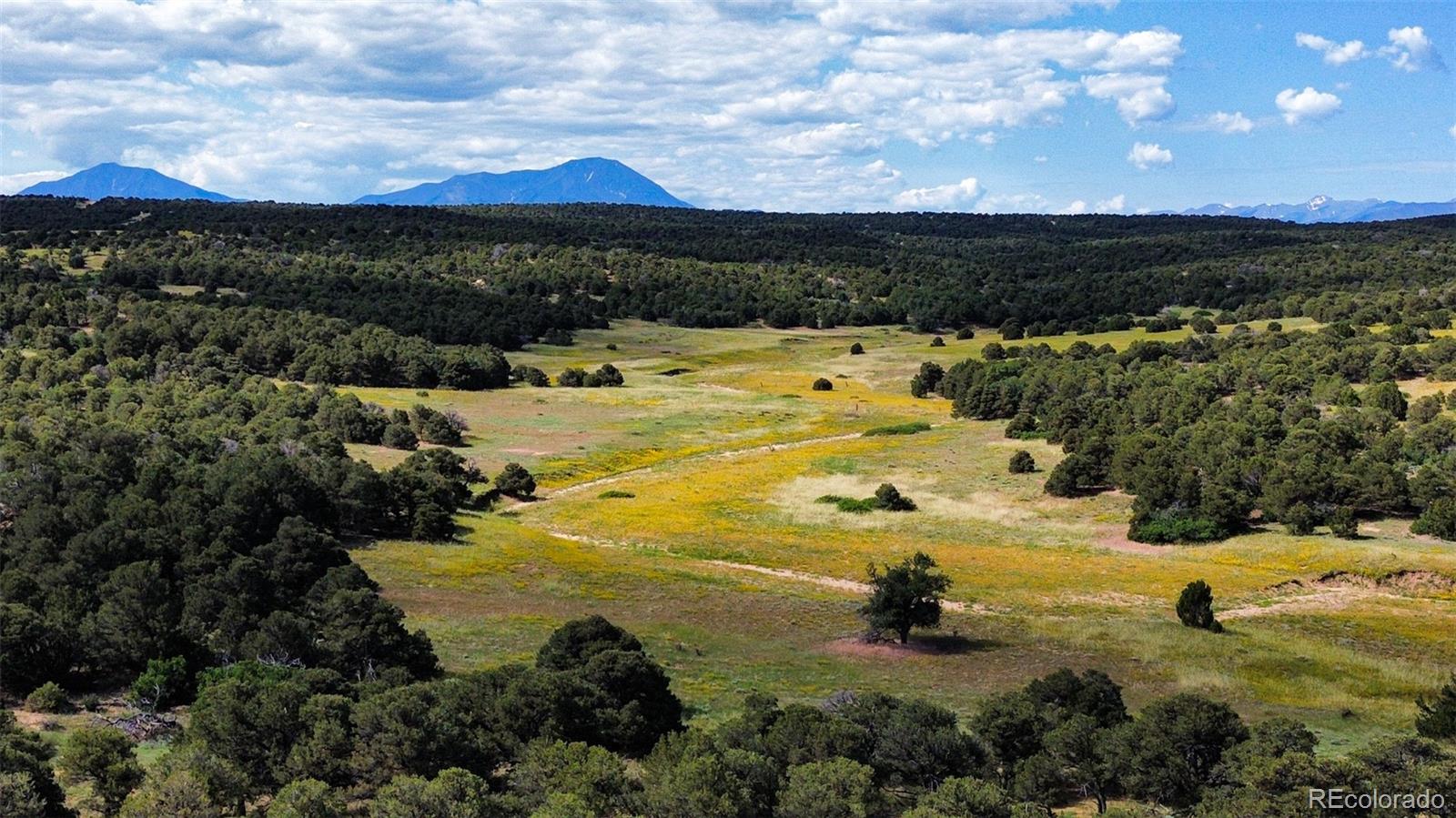 363 Black Hills Road Walsenburg, CO 81089 - Photo 15 of 30 a view of a lake in middle of the city