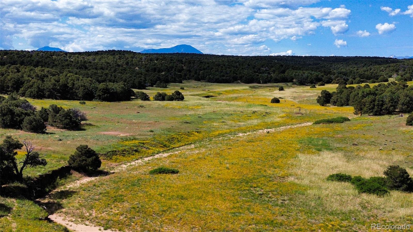363 Black Hills Road Walsenburg, CO 81089 - Photo 16 of 30 a view of an ocean beach