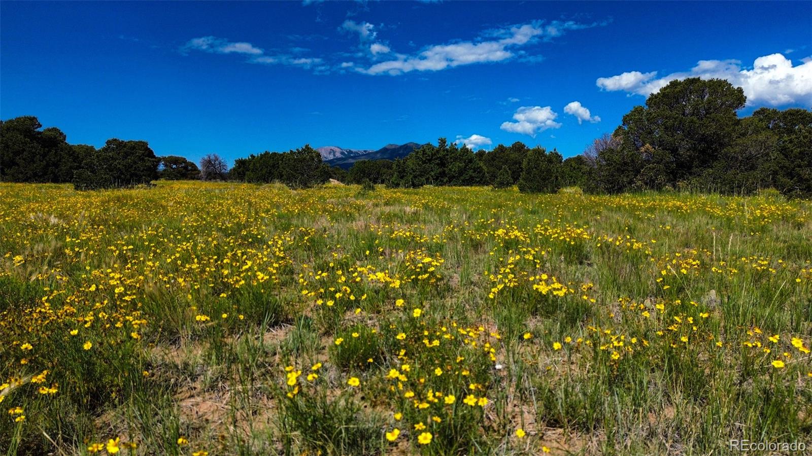 363 Black Hills Road Walsenburg, CO 81089 - Photo 18 of 30 a view of a lake