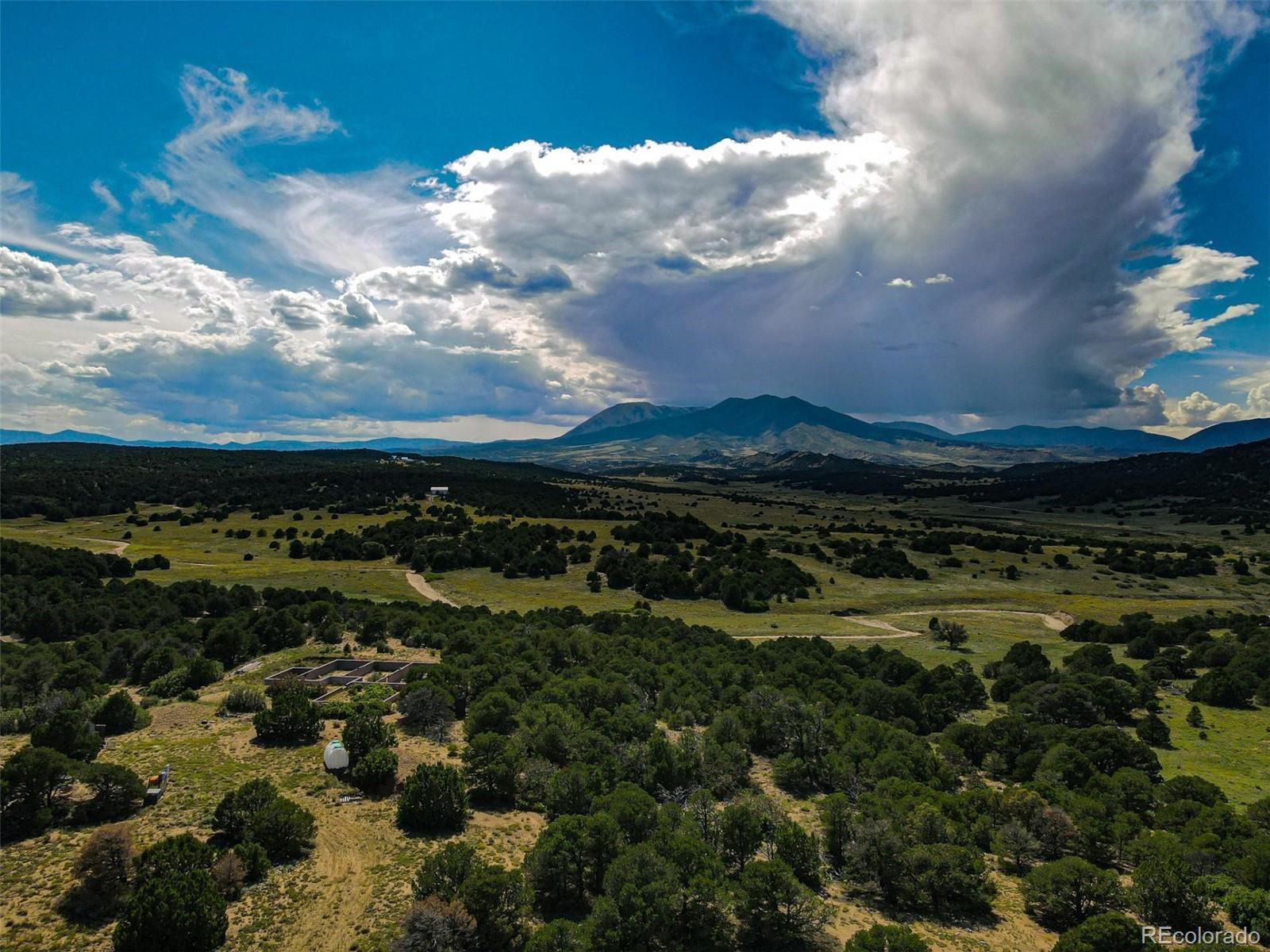 363 Black Hills Road Walsenburg, CO 81089 - Photo 21 of 30 a view of a bunch of trees in a field