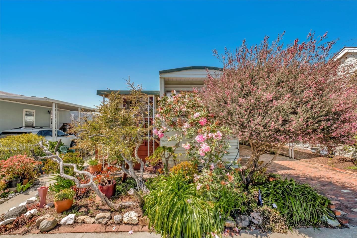4160 Jade Street, Unit 74 Capitola, CA 95010 - Photo 3 of 25 a picture of flowers
