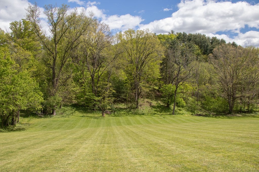 21507 Green Spring Road Abingdon, VA 24211 - Photo 48 of 53 Gallery Image 48