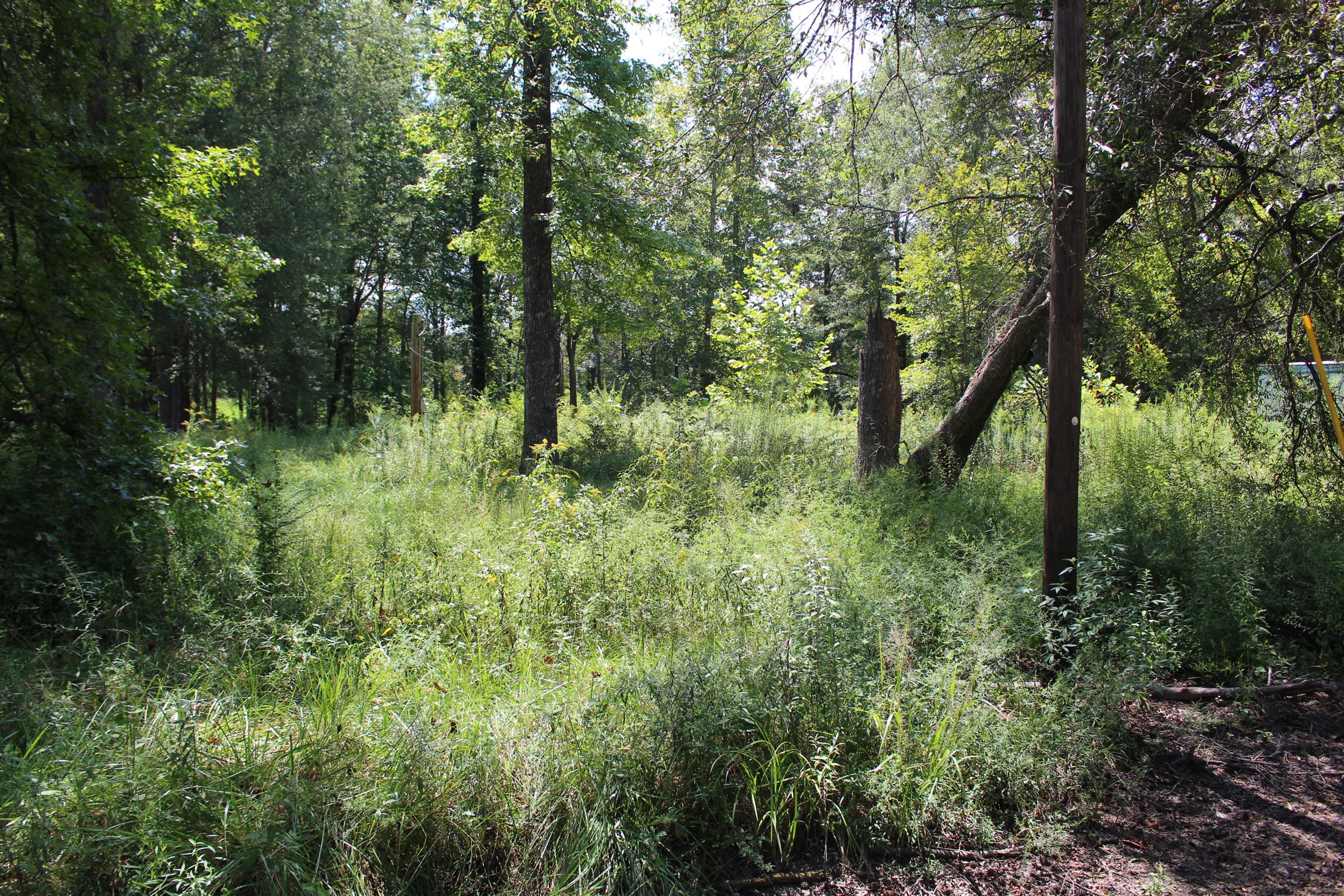 1628 Warren Road Manchester, TN 37355 - Photo 5 of 7