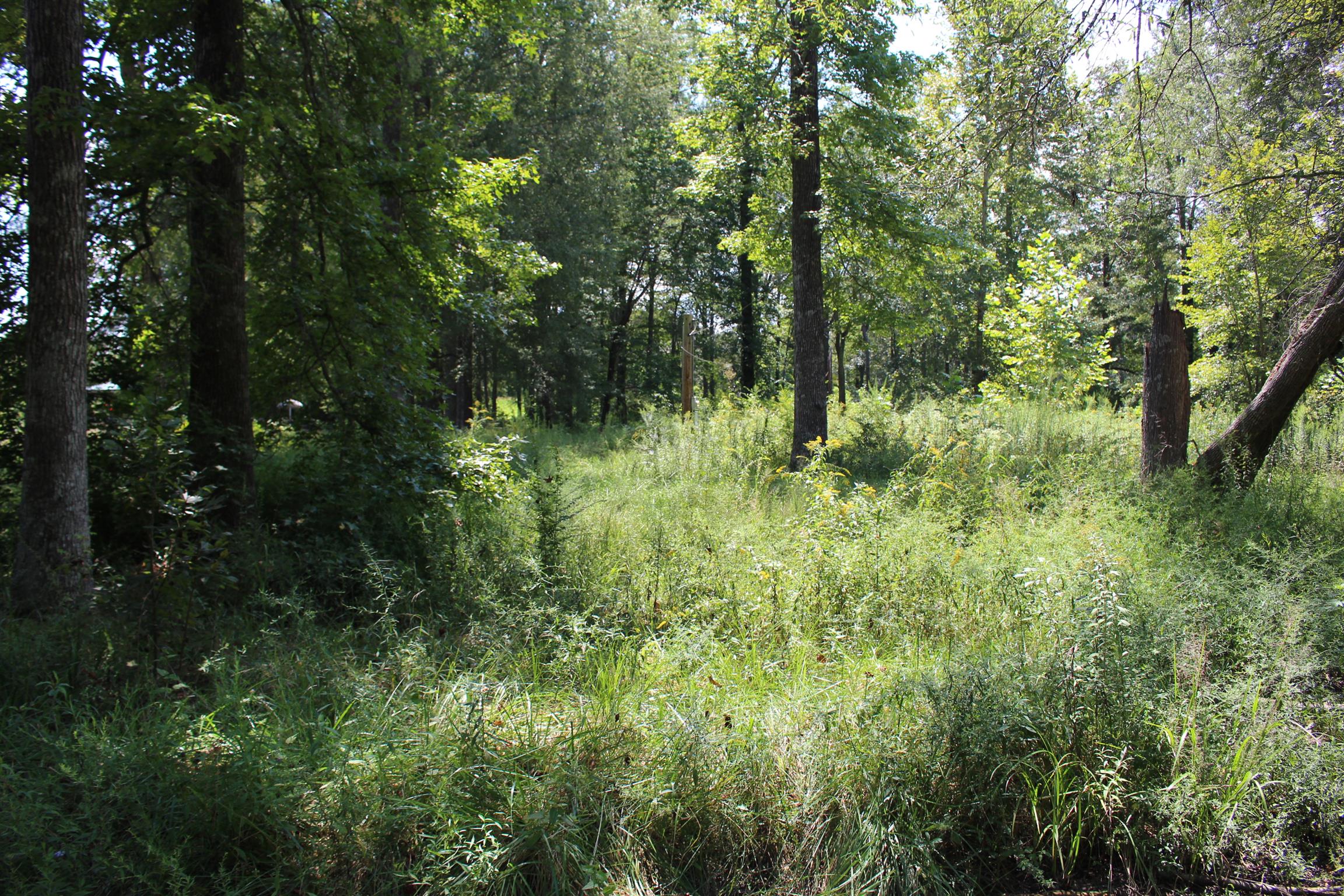 1628 Warren Road Manchester, TN 37355 - Photo 6 of 7