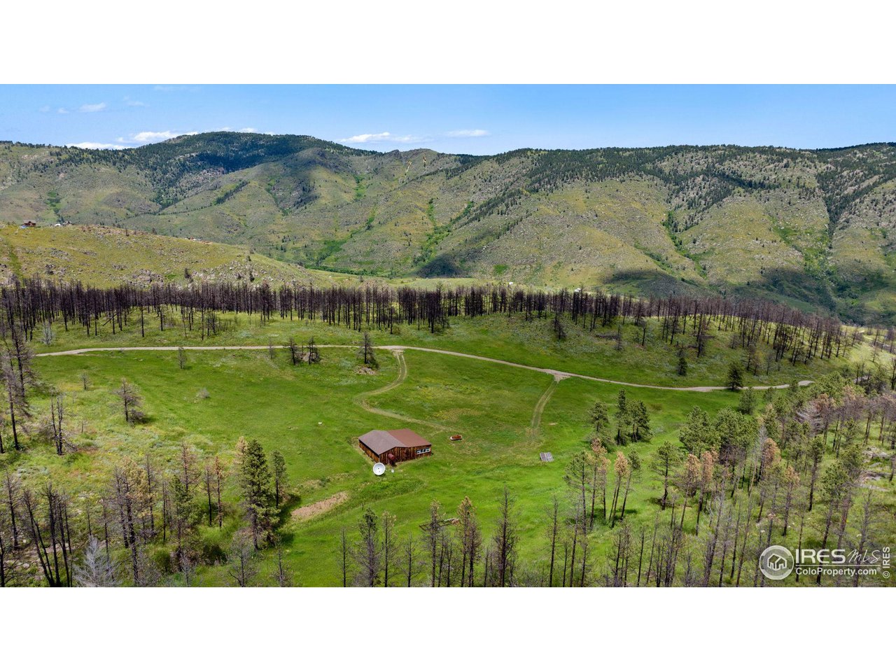 1319 Stringtown Gulch Road Bellvue, CO 80512 - Photo 15 of 22 Gallery Image 15