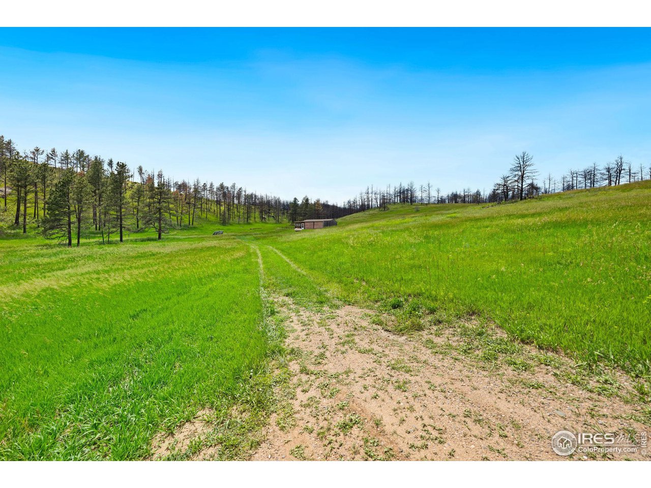 1319 Stringtown Gulch Road Bellvue, CO 80512 - Photo 8 of 22 Gallery Image 8