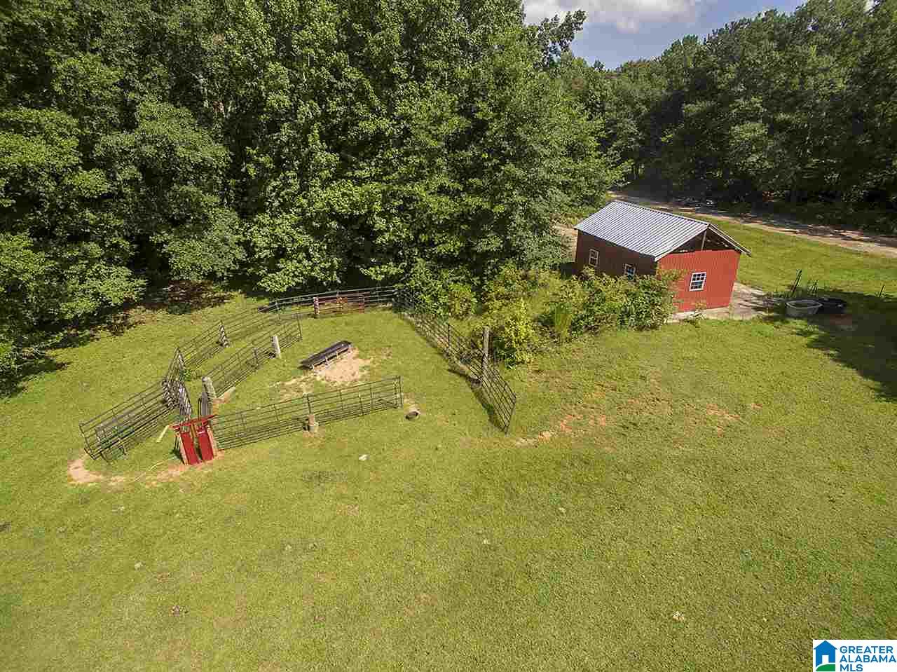 3330 Highway 174 Springville, AL 35146 - Photo 4 of 21