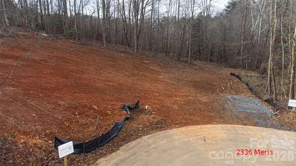 a view of a dry yard