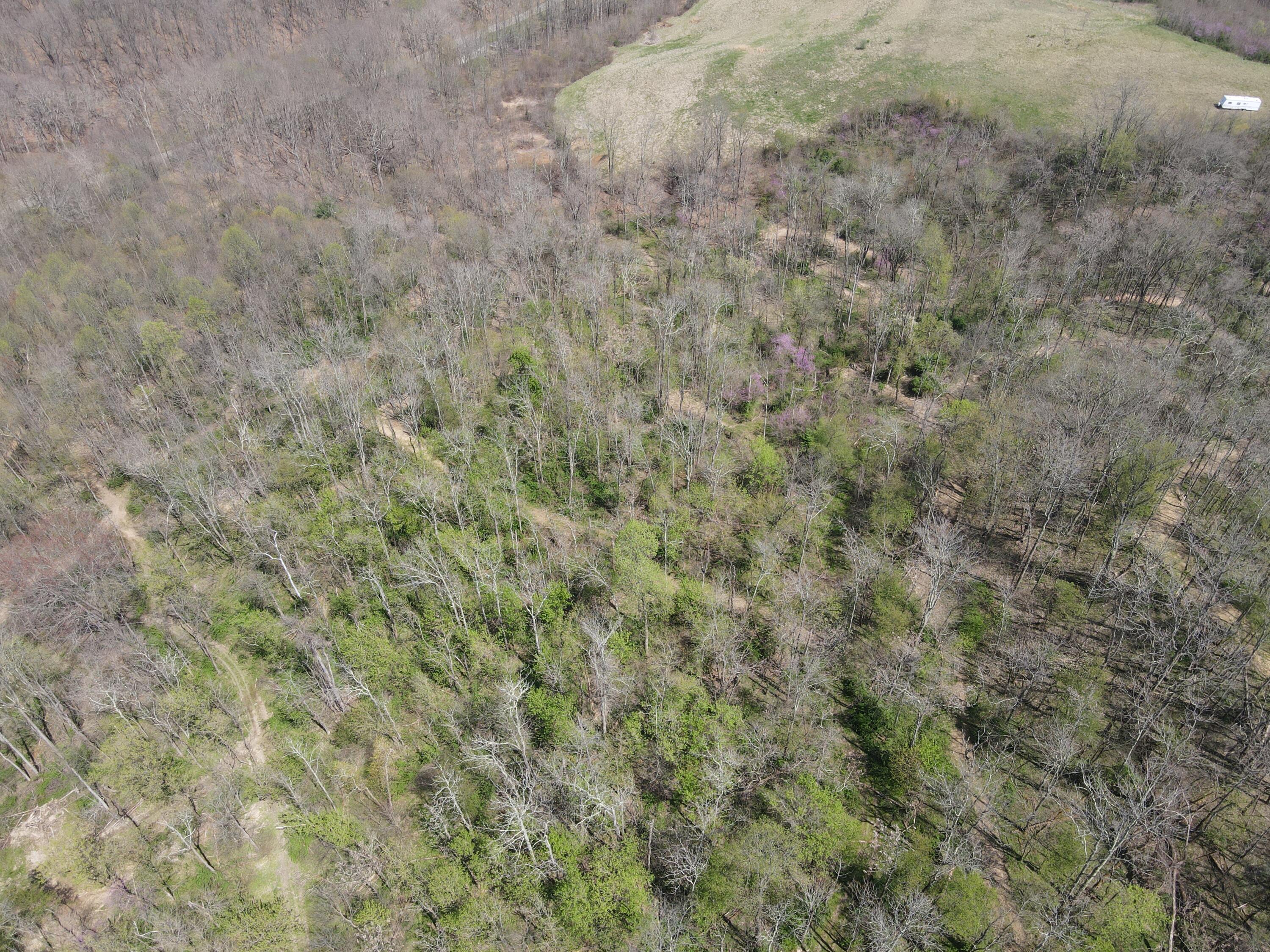 8670 Hoop Pole Road Roseville, OH 43777 - Photo 56 of 65 DJI_0010