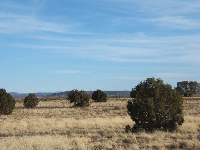 5210 Churchill Road Snowflake, AZ 85937 - Photo 3 of 5 Gallery Image 3