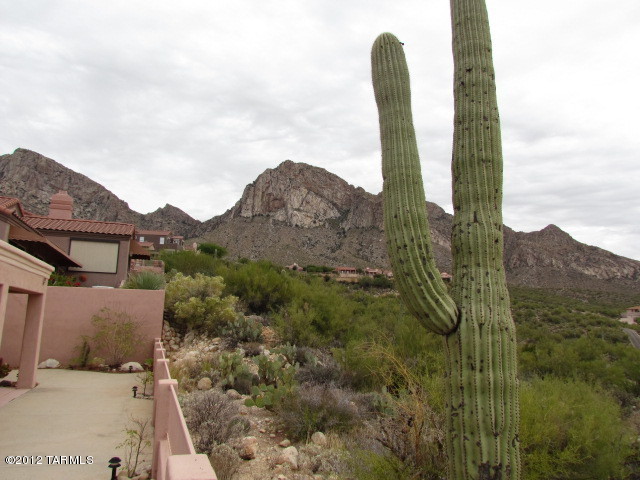 10083 North Bighorn Butte Drive Tucson, AZ 85737 - Photo 28 of 45