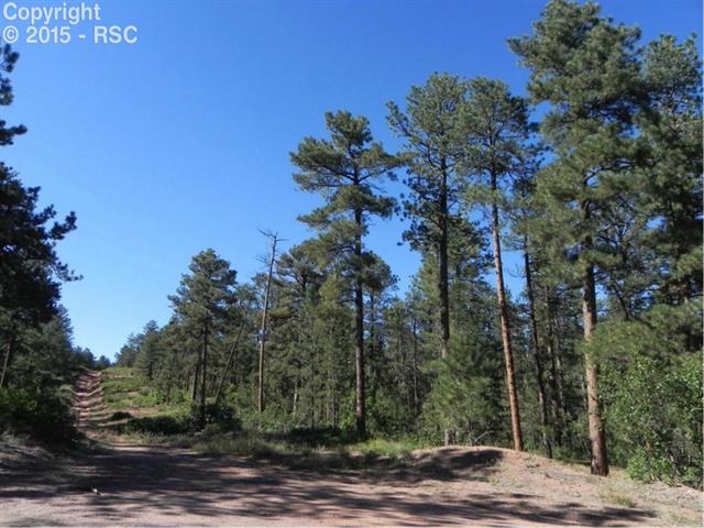 4369 Elati Road Larkspur, CO 80118 - Photo 11 of 16 Gallery Image 11