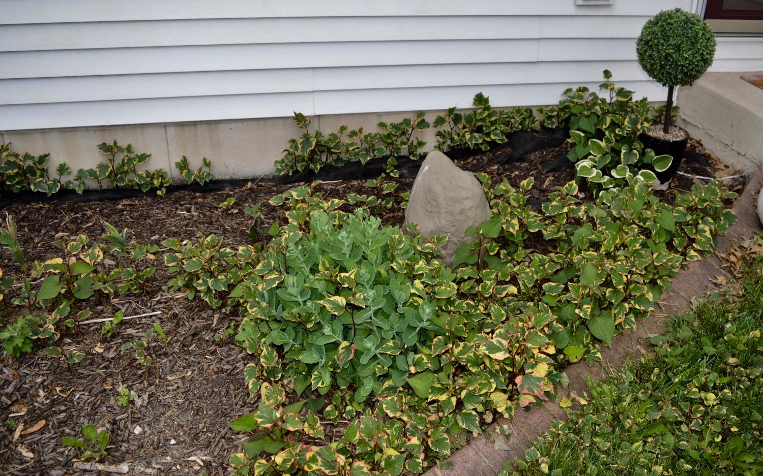 354 Marilyn Road Burns Harbor, IN 46304 - Photo 5 of 37 1500x937