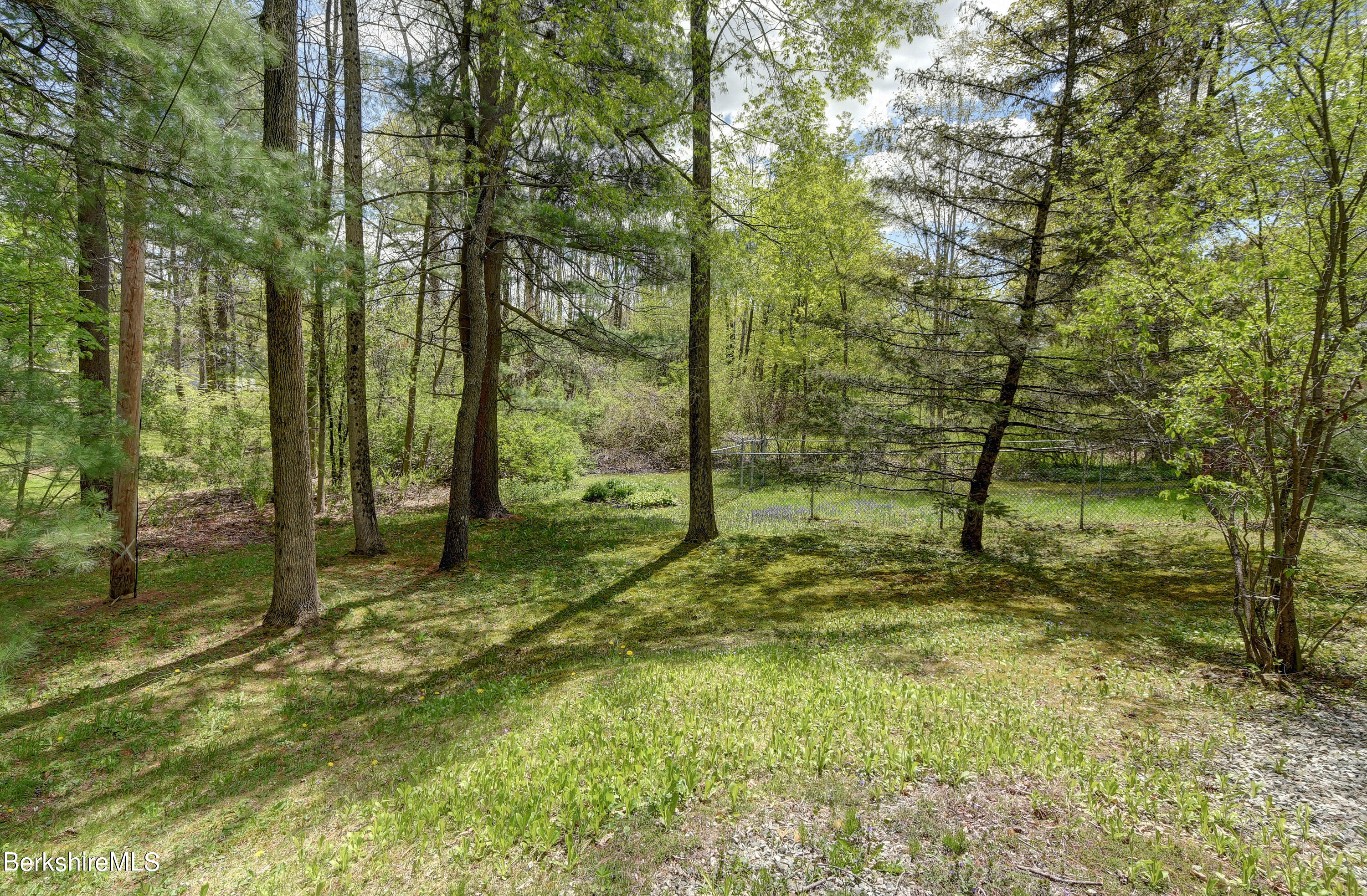 390 Spring 33-Back-Yard