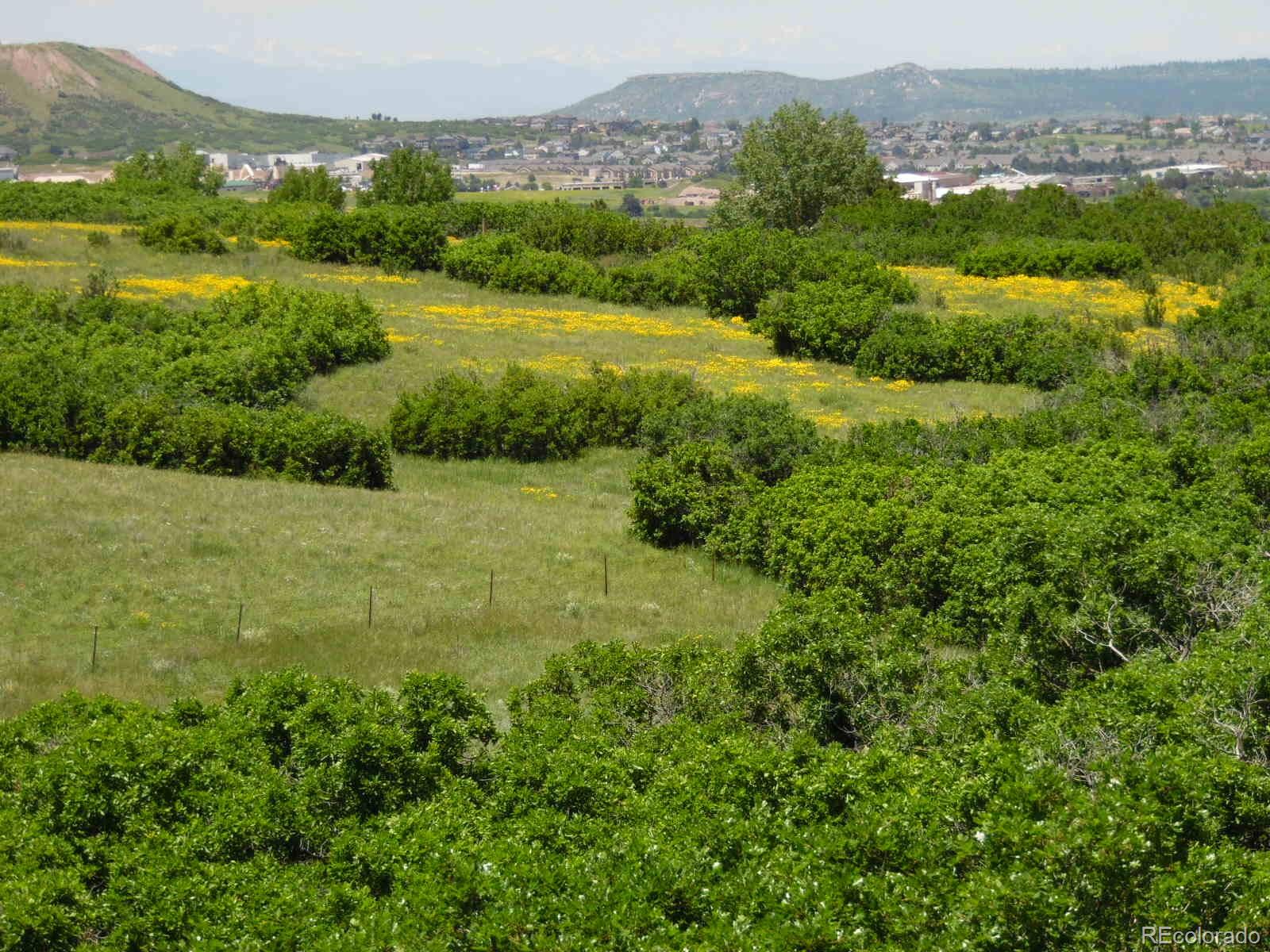2135 Haystack Road Castle Rock, CO 80104 - Photo 35 of 35 a view of a green field with an ocean view