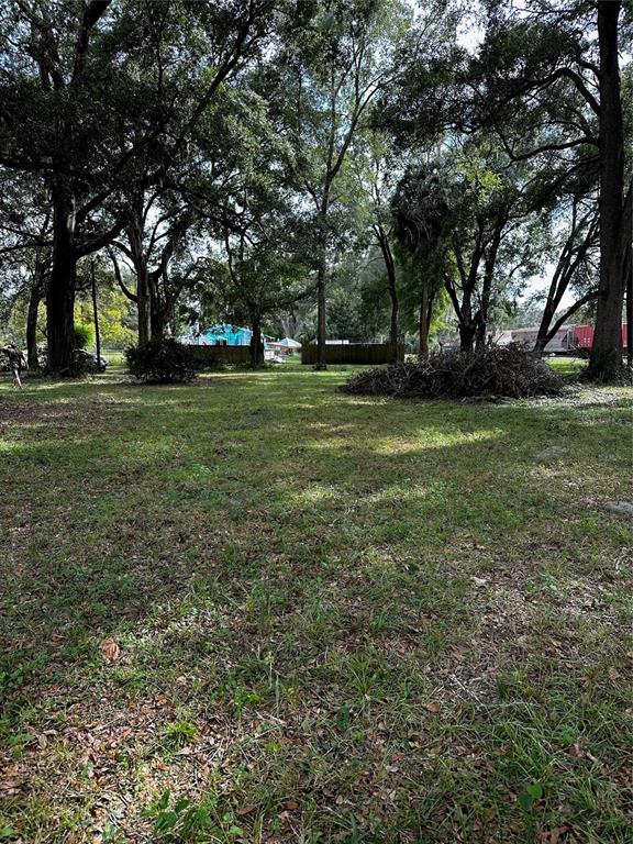 0 Southwest 252nd Street Newberry, FL 32669 - Photo 1 of 1 Gallery Image 1