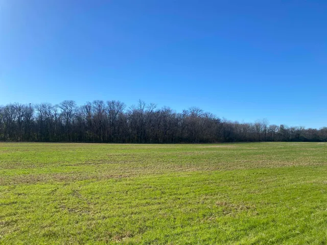 a view of a field with trees in the background