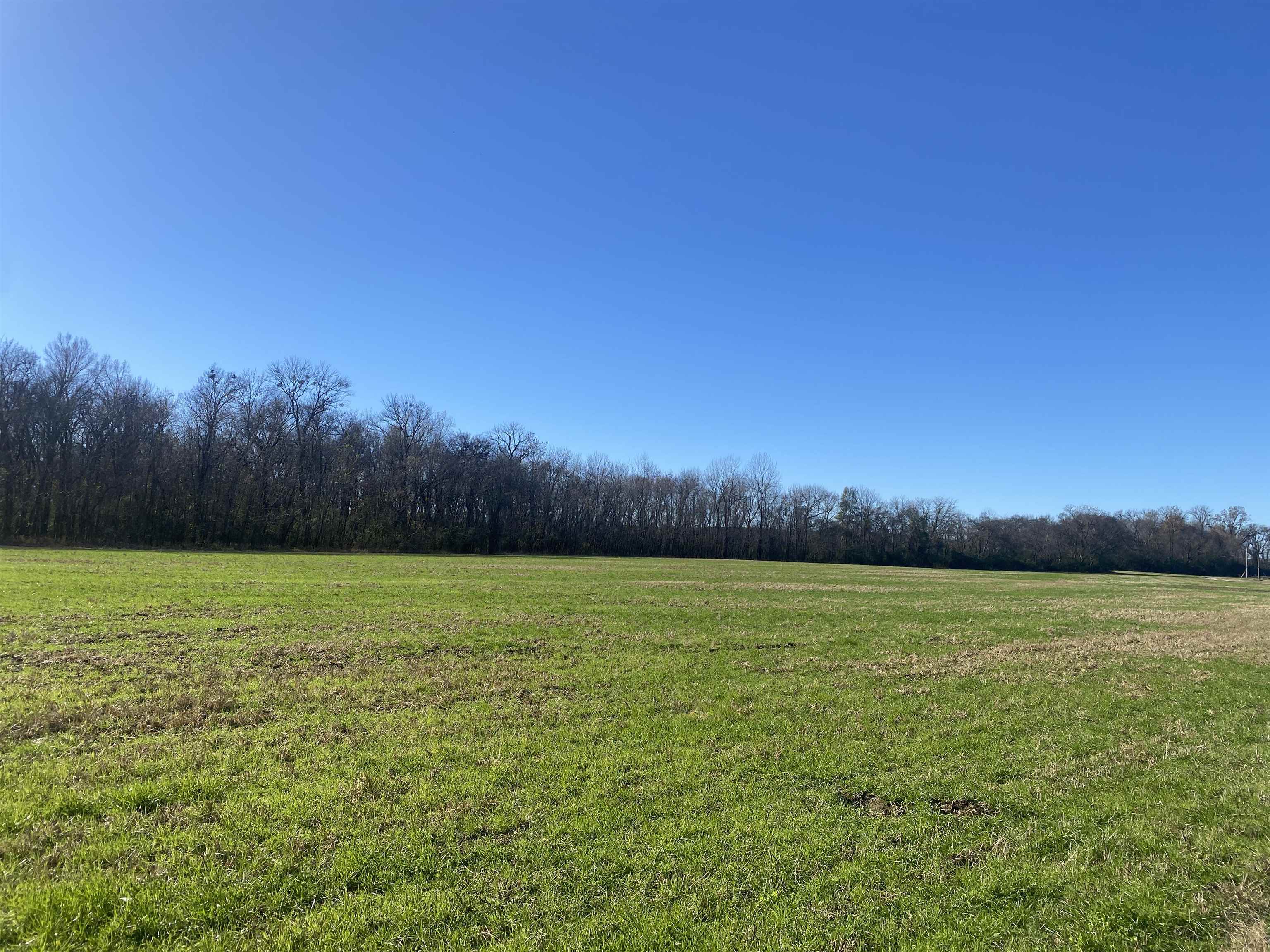 1 Bandit Way Savannah, TN 38372 - Photo 15 of 23 a view of a field with an ocean