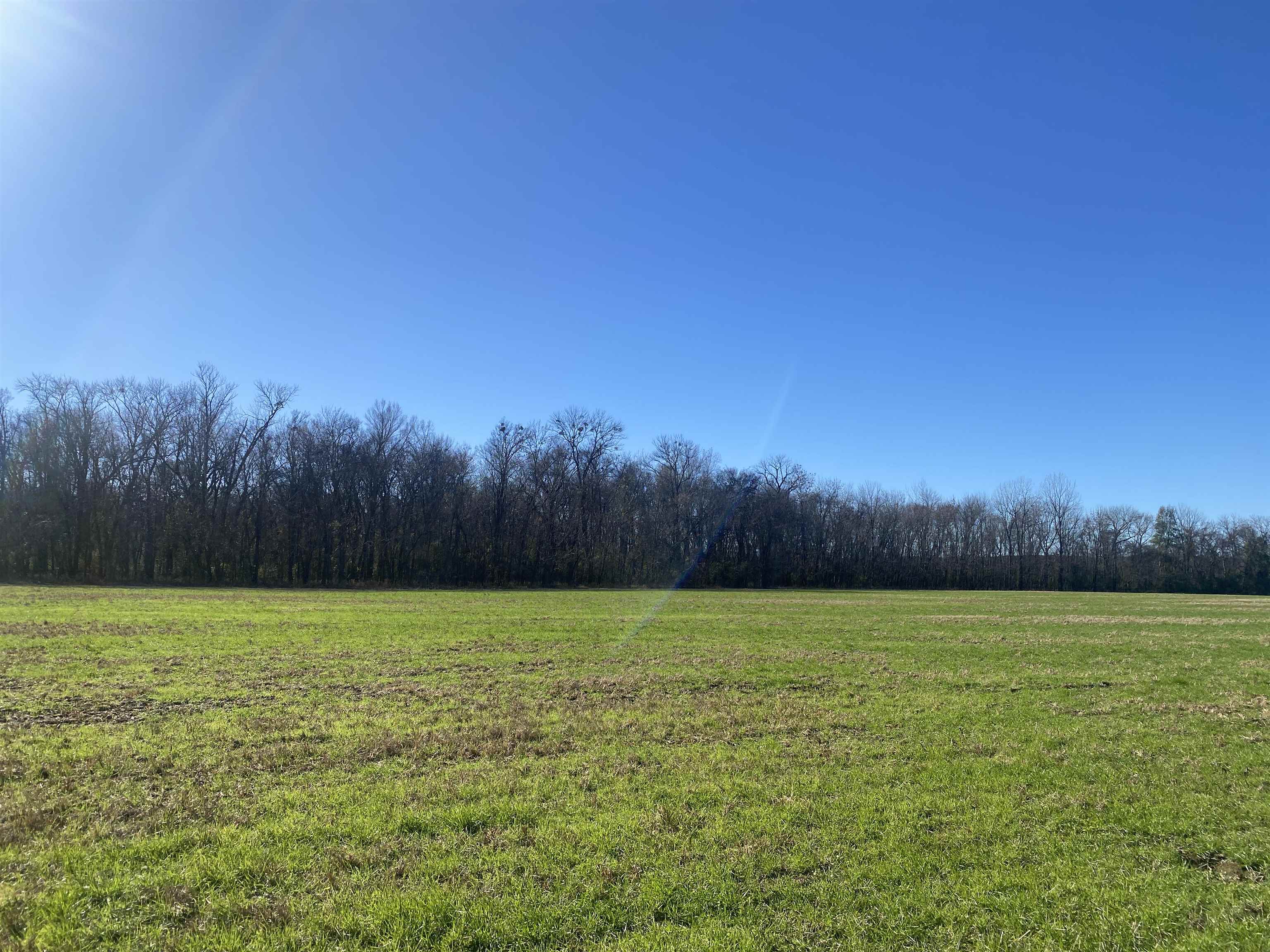 1 Bandit Way Savannah, TN 38372 - Photo 16 of 23 a view of a field with trees in the background