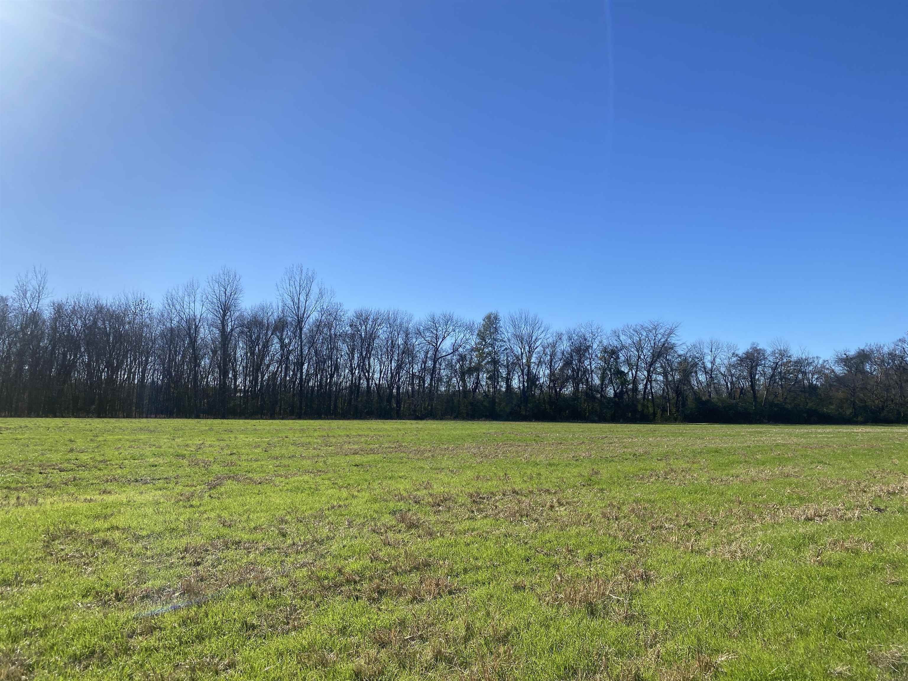 1 Bandit Way Savannah, TN 38372 - Photo 18 of 23 a view of a field with trees in the background