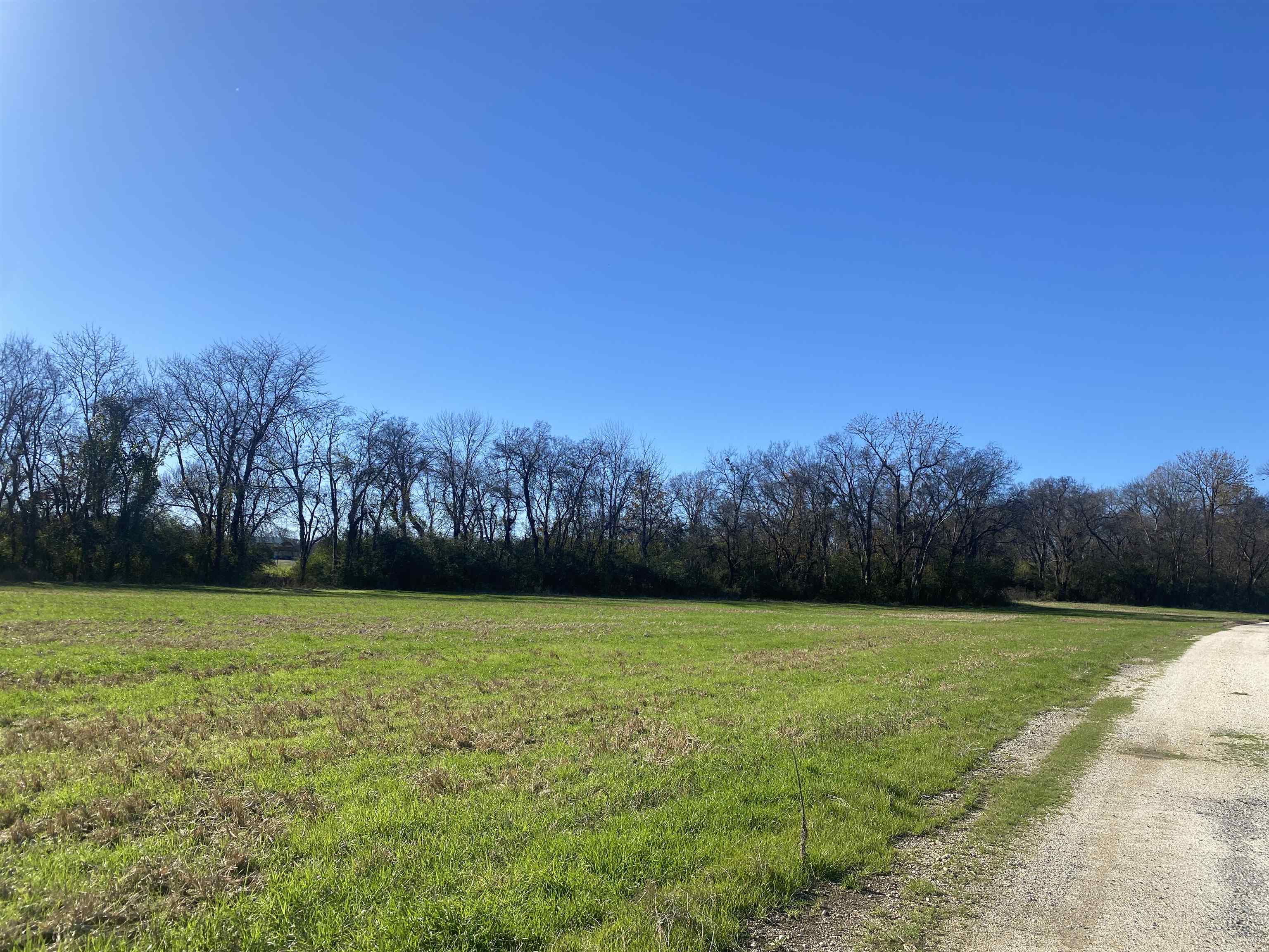 1 Bandit Way Savannah, TN 38372 - Photo 19 of 23 a view of a green yard with a house in the background