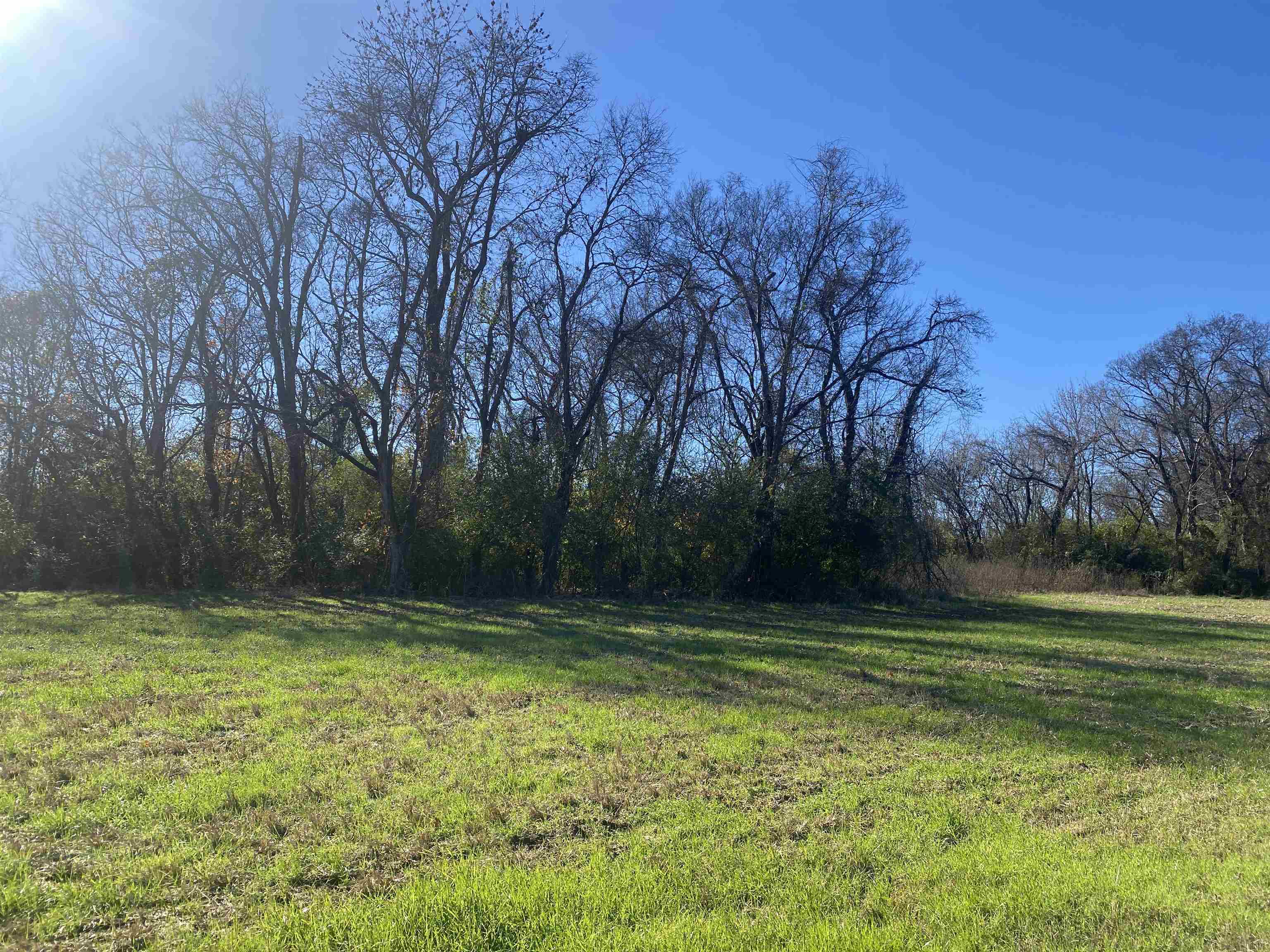 1 Bandit Way Savannah, TN 38372 - Photo 20 of 23 a view of outdoor space with swimming pool