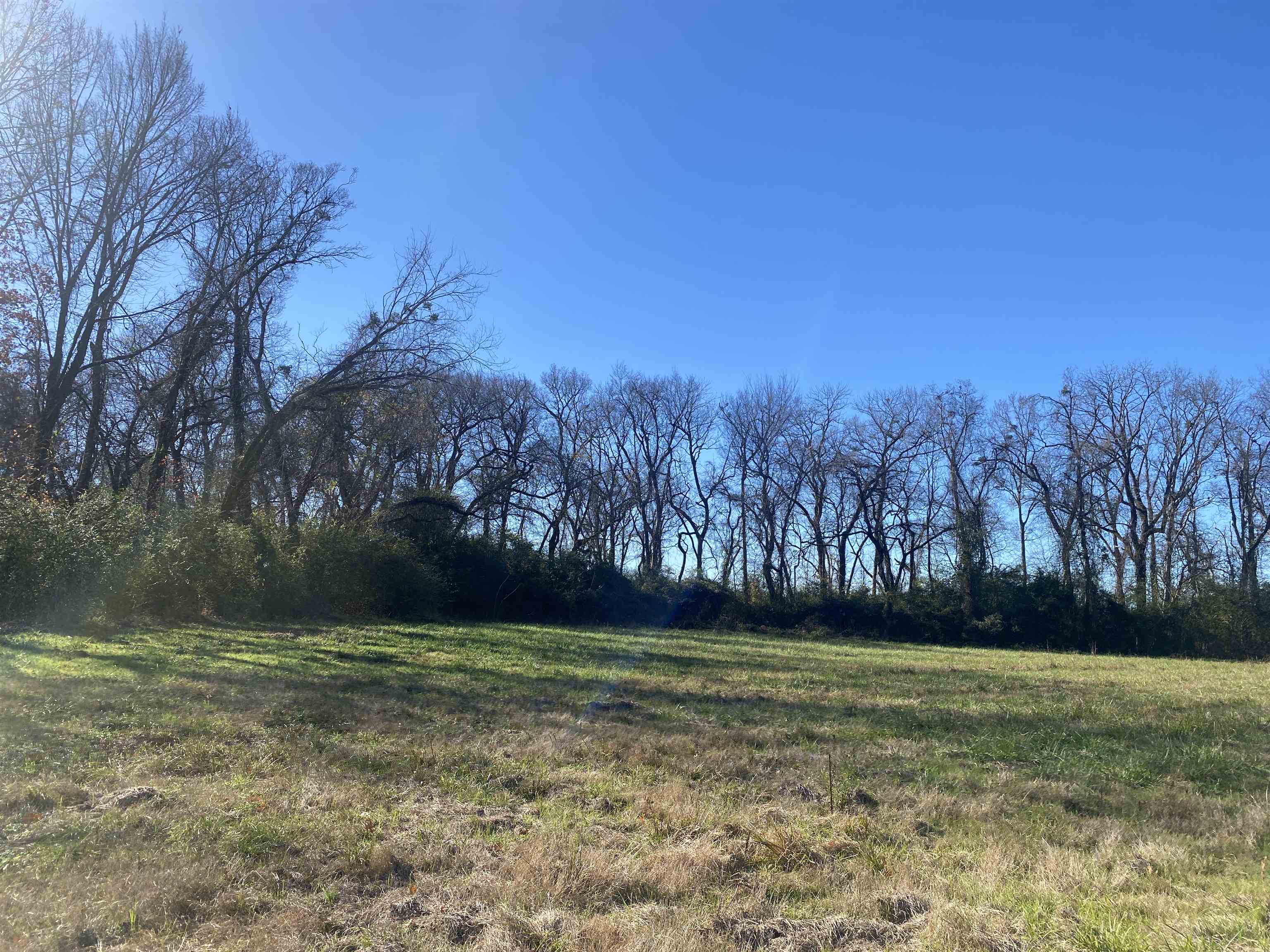 1 Bandit Way Savannah, TN 38372 - Photo 22 of 23 a view of outdoor space with deck and yard