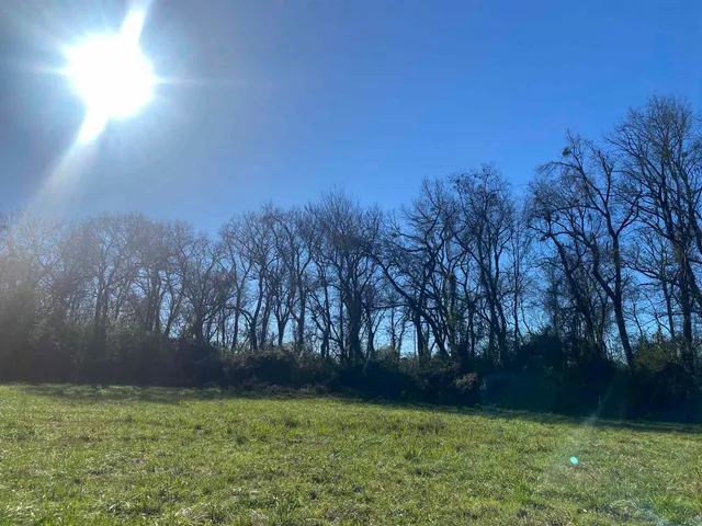 $210,000 | 1 Bandit Way, Savannah, TN 38372