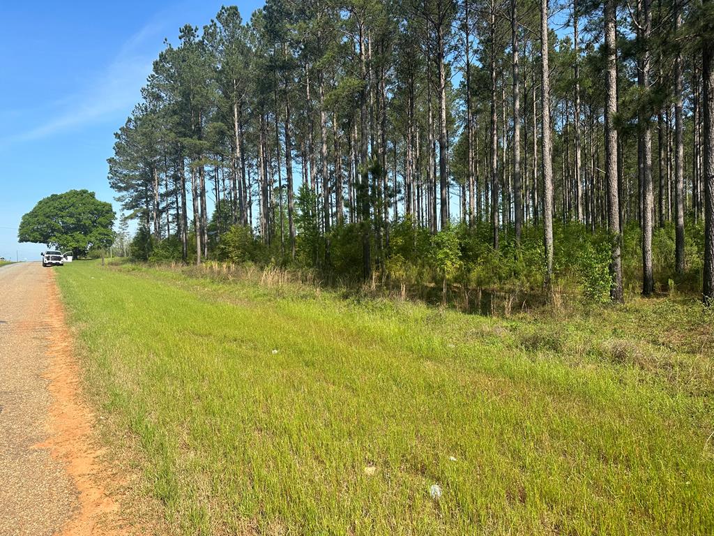 0 Co Road Hartford, AL 36344 - Photo 1 of 8 Main View