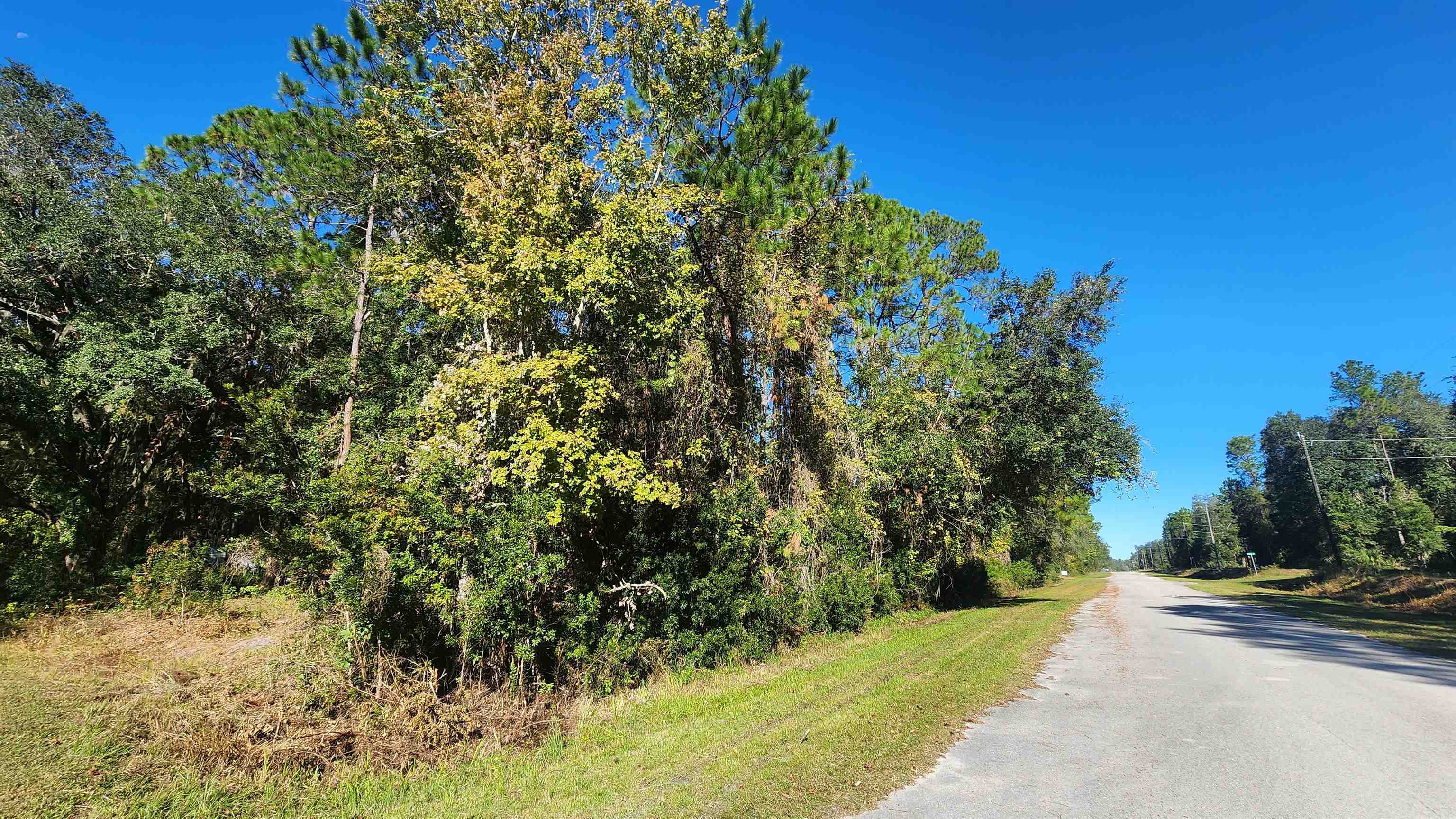 Janet Avenue Georgetown, FL 32139 - Photo 2 of 8 Gallery Image 2