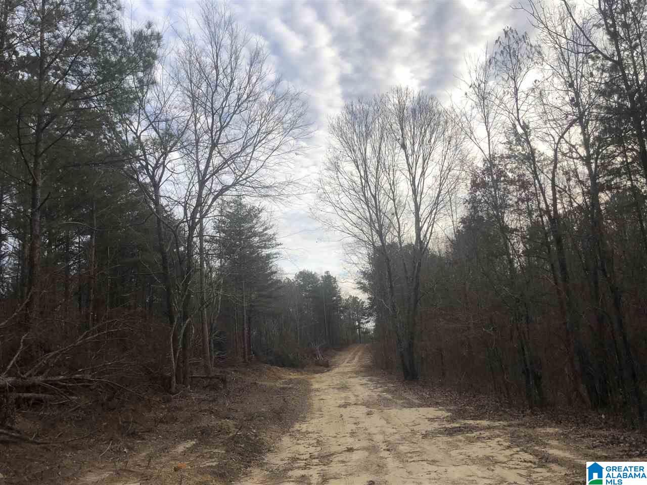 Slick Lizzard Road, Unit 1 Nauvoo, AL 35578 - Photo 6 of 8