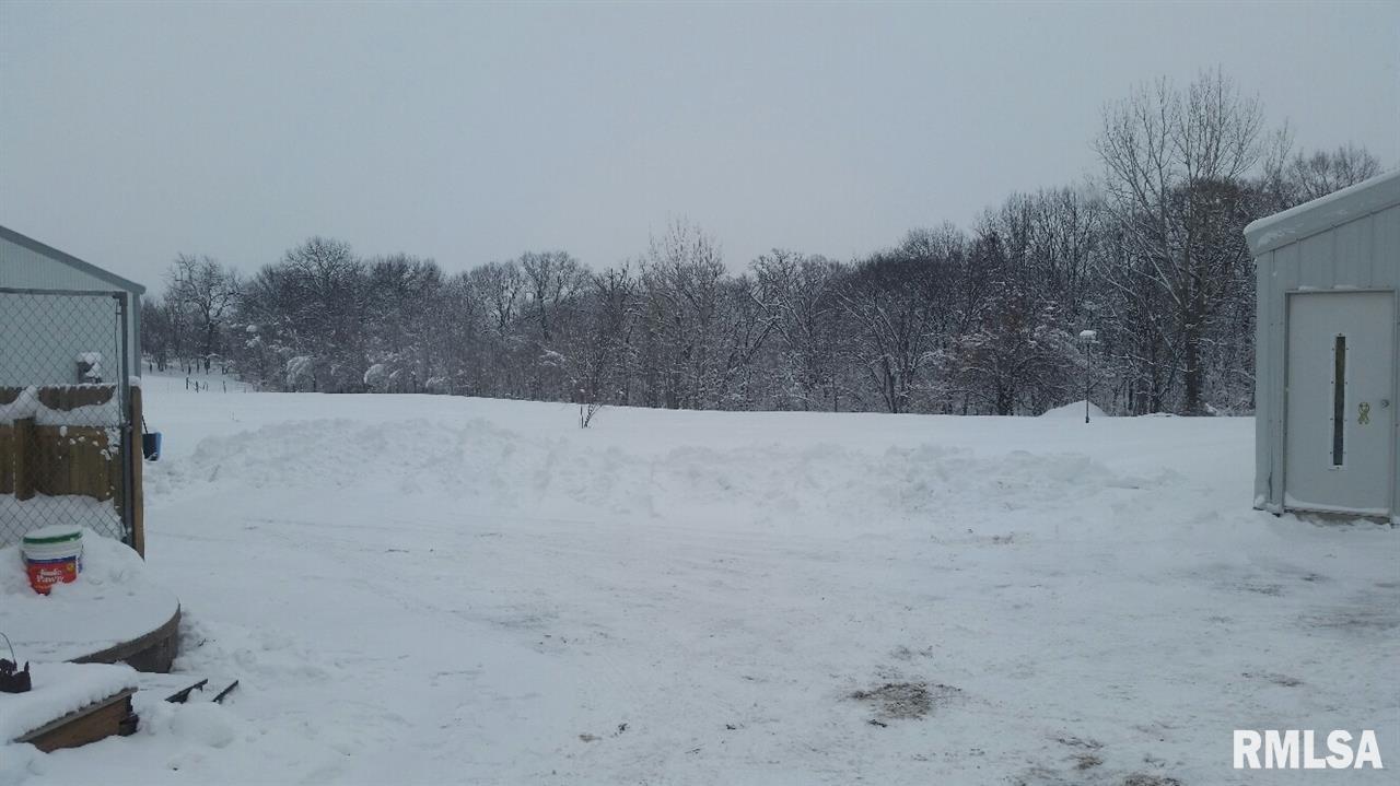 8921 Knoxville Road Milan, IL 61264 - Photo 18 of 19 Gallery Image 18