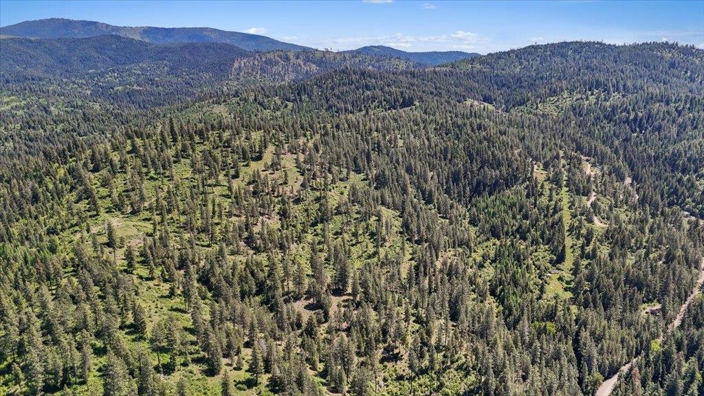 18-xxx East Miner Road Mead, WA 99021 - Photo 11 of 40