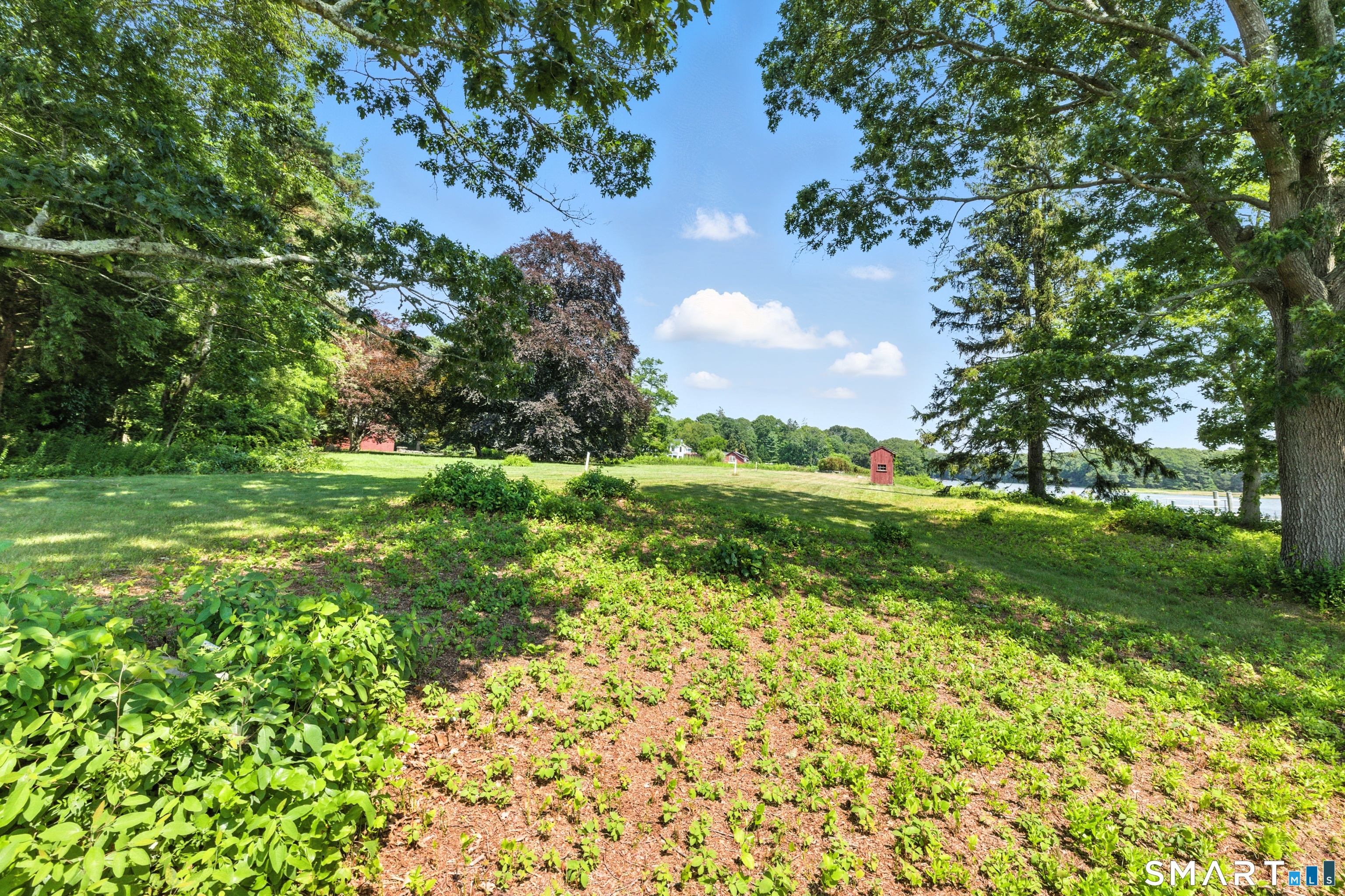 82 Cove Road Stonington, CT 06378 - Photo 12 of 20 a view of a garden with a tree