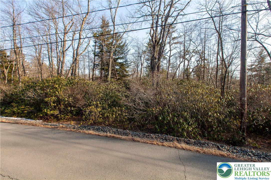 Delware Drive, Unit C281 Jim Thorpe, PA 18229 - Photo 3 of 11 a view of a street with a building in the background