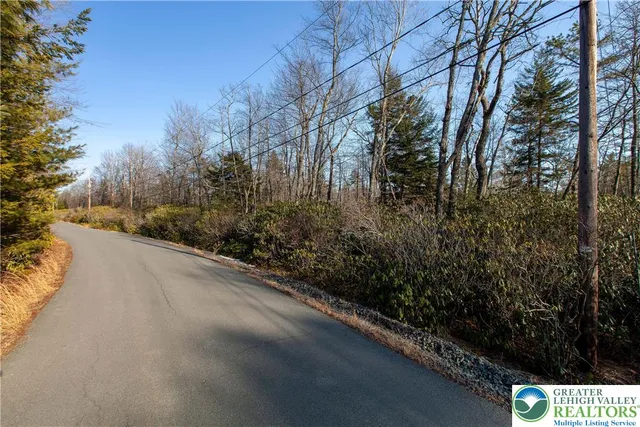 a view of a yard along with trees