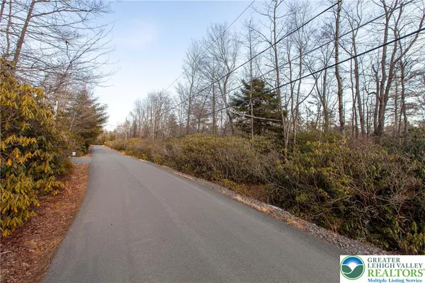 a view of a road from a forest