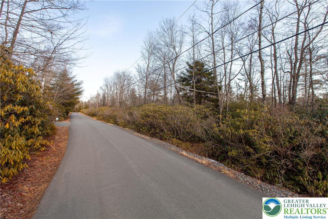 Delware Drive, Unit C281 Jim Thorpe, PA 18229 - Photo 5 of 11 a view of a road from a forest