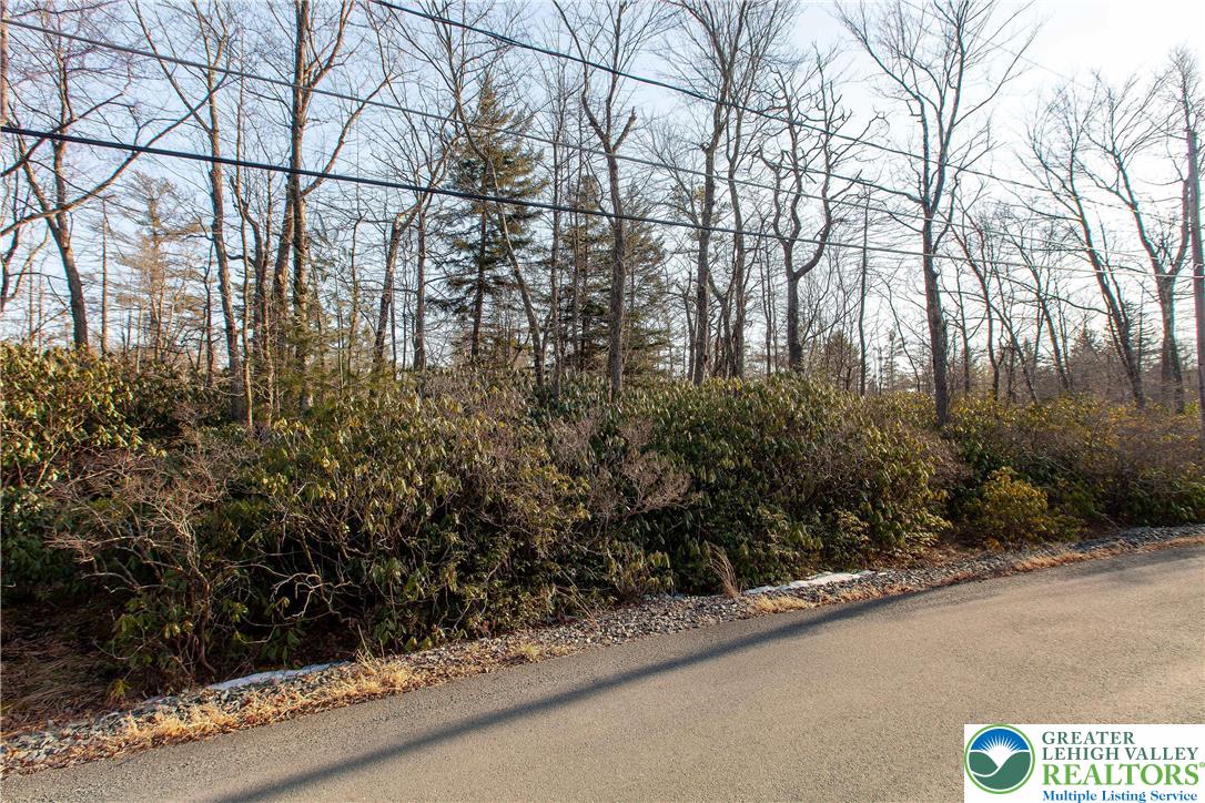 Delware Drive, Unit C281 Jim Thorpe, PA 18229 - Photo 6 of 11