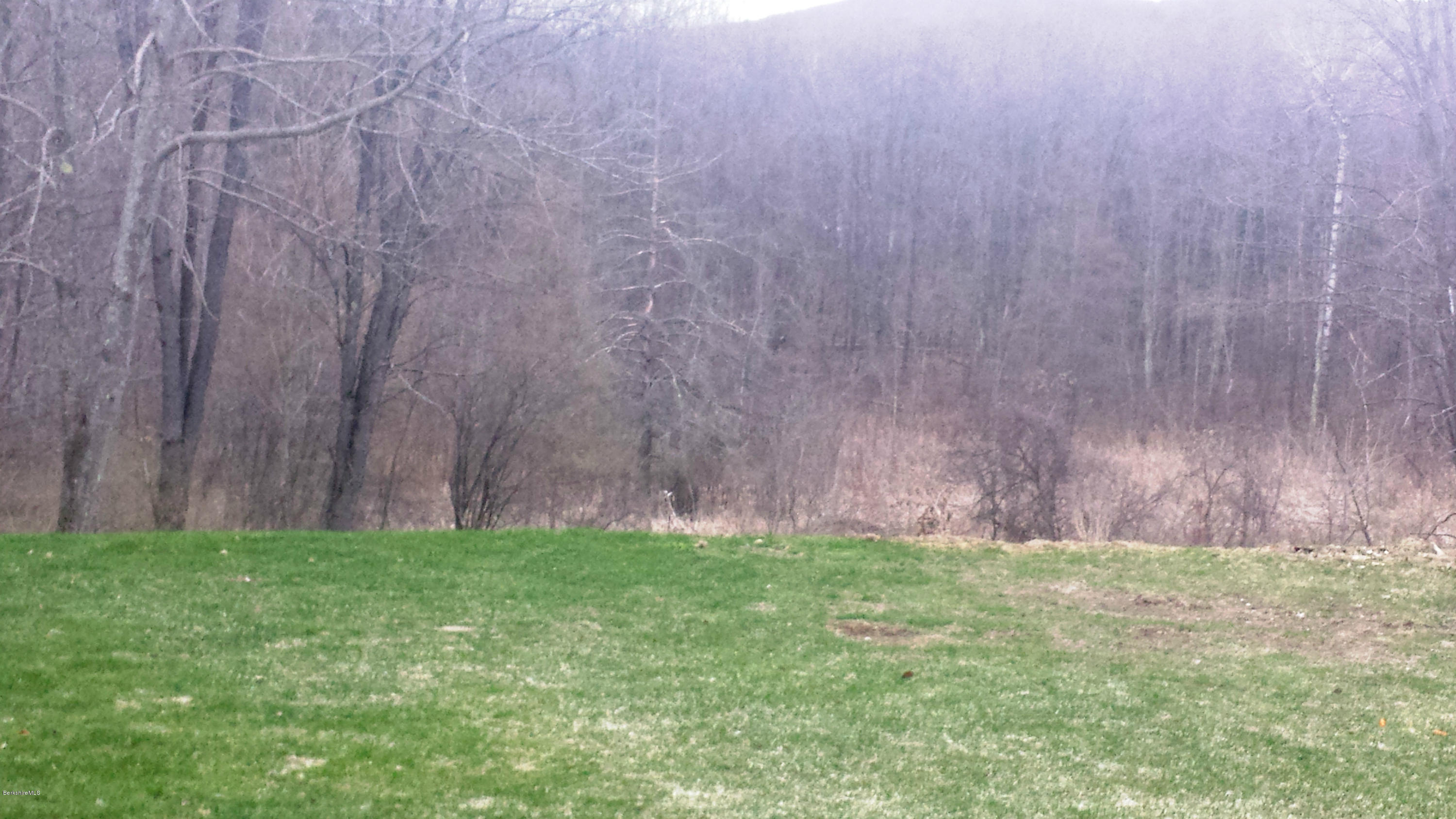 18 Glassworks Road Lanesborough, MA 01224 - Photo 4 of 9 Backyard