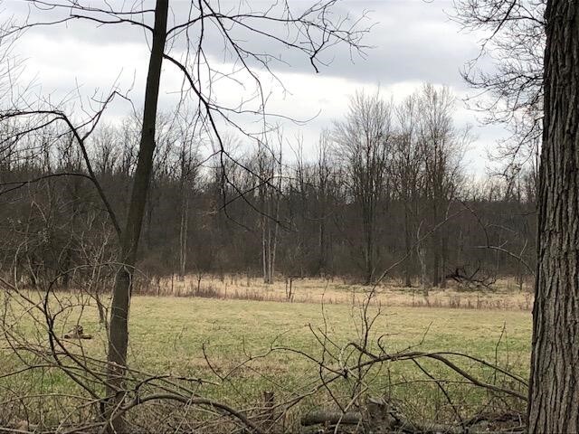 V/l Cuff Road Parma, MI 49269 - Photo 2 of 6