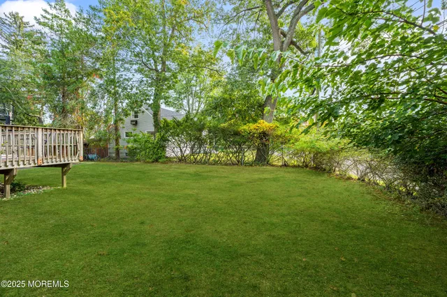 a view of green field