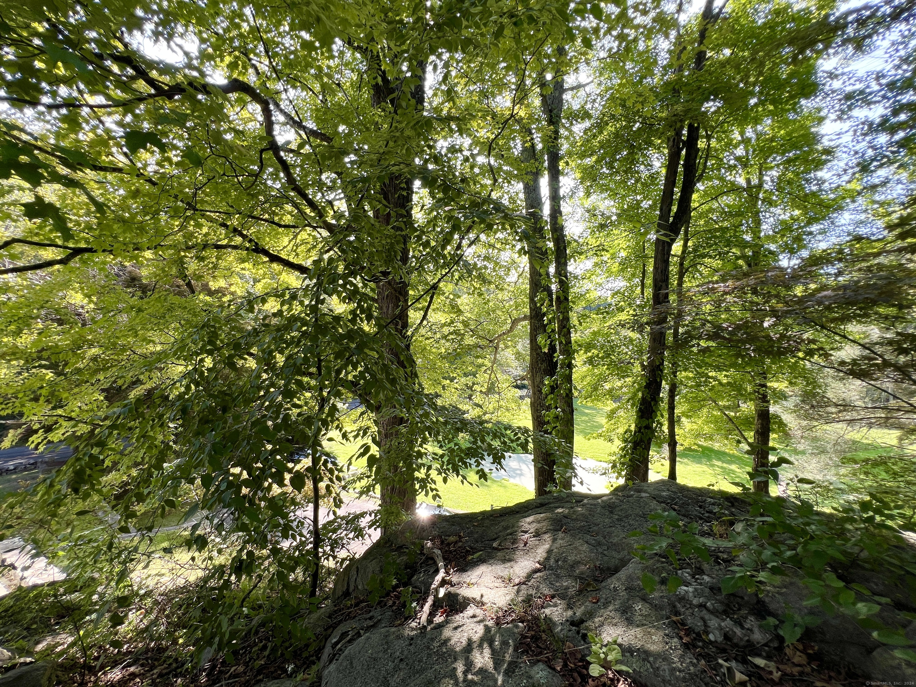 301 Haviland Road Stamford, CT 06903 - Photo 33 of 34 a view of forest