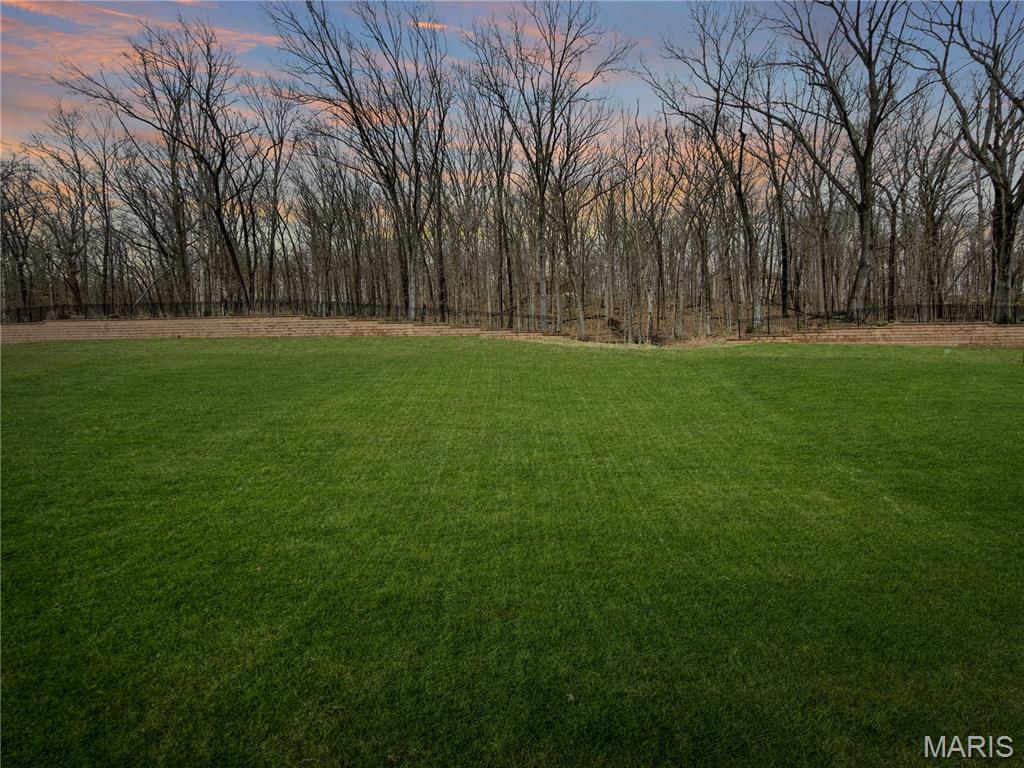 1647 Ridgefield Bluff Eureka, MO 63025 - Photo 5 of 7