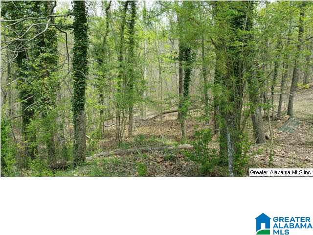 Lynn Road, Unit 38 Anniston, AL 36207 - Photo 4 of 5