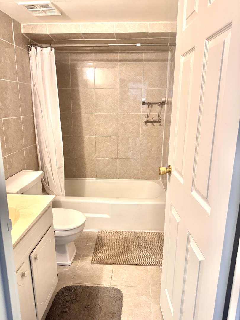 300 South Roselle Road, Unit 309 Schaumburg, IL 60193 - Photo 14 of 19