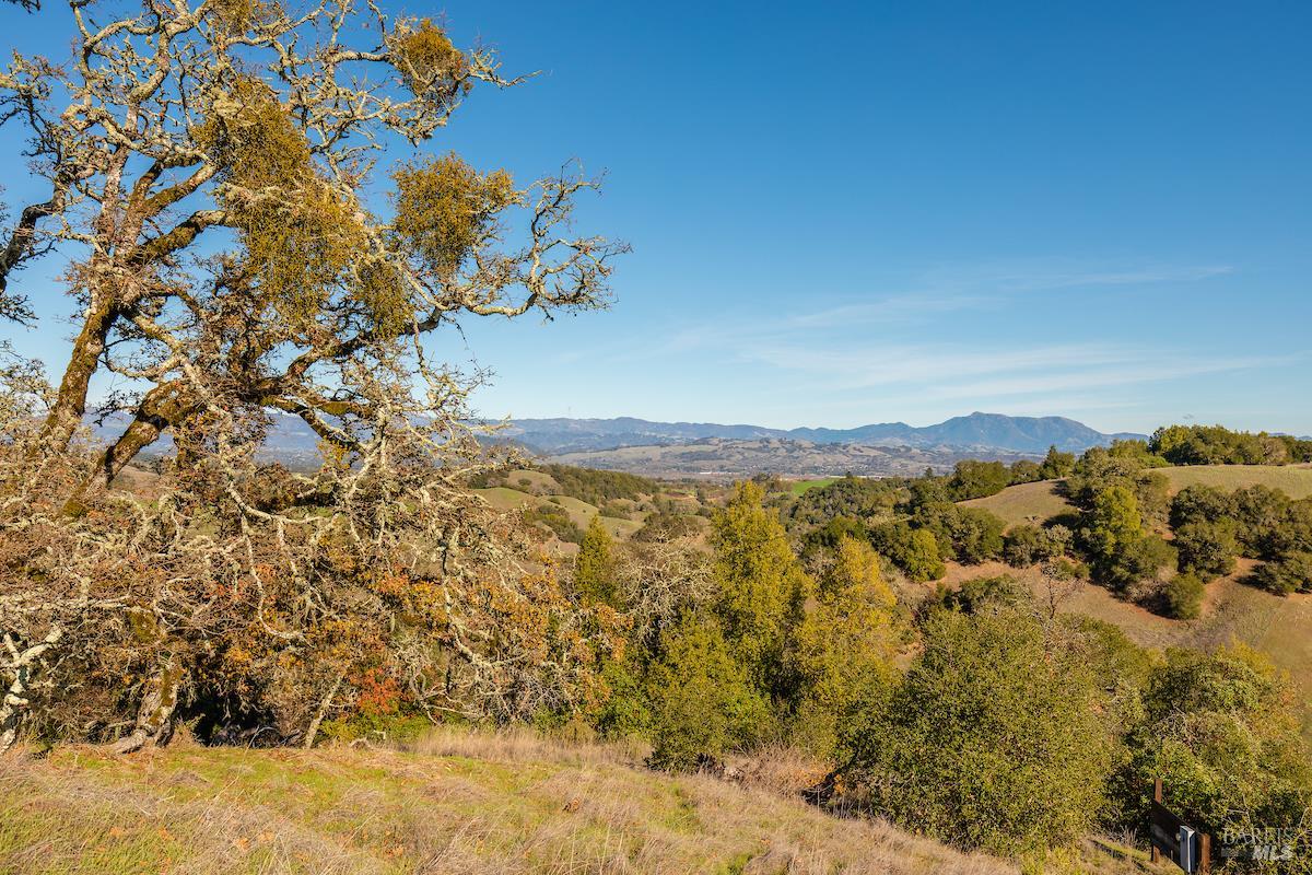 2365 Sweetwater Springs Road Healdsburg, CA 95448 - Photo 24 of 37