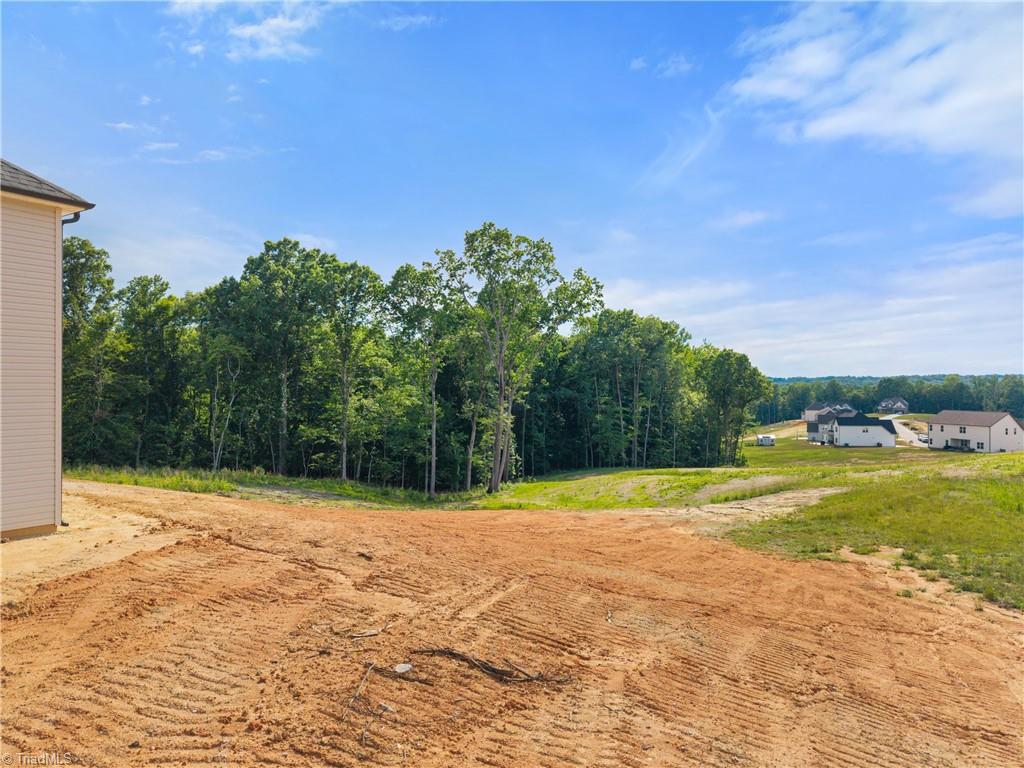 493 Nifong Road Clemmons, NC 27012 - Photo 42 of 43