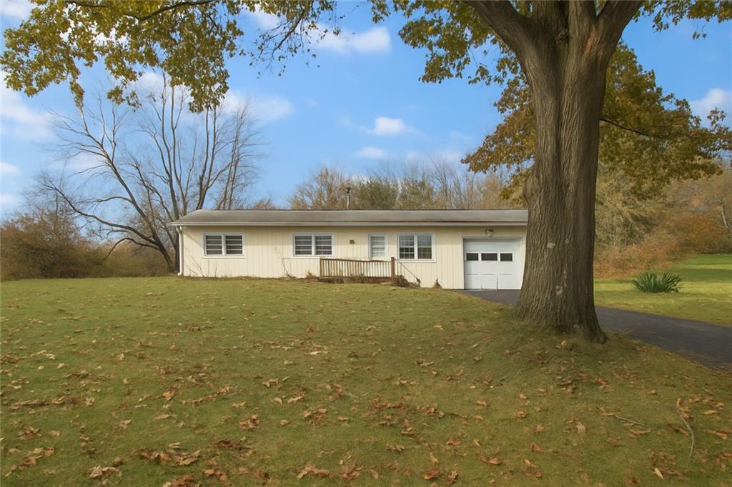 a front view of a house with yard and green space